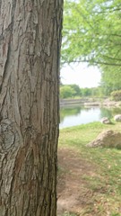 Paisaje Natural con lago 06