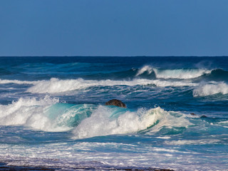 Hawaiian beach with blue waves