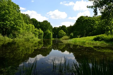 Fototapeta na wymiar Lake in the Park in spring