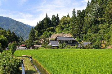 Typical Japanese wooden house surrounded by a rice field - Nakasendo road