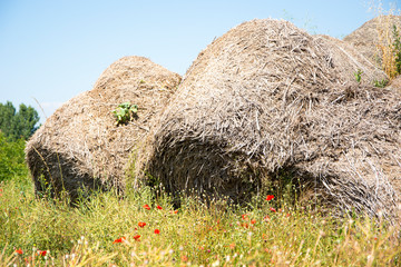 Stos siana i łąka z makiem © Heroc