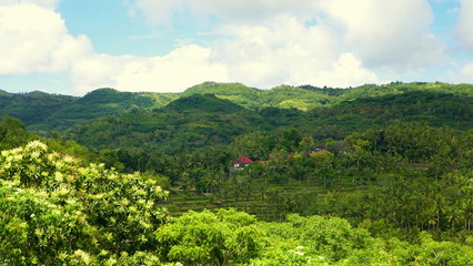 Fototapeta na wymiar grün tropisch bewaldete Insel Nusa Penida in Indonesien mit einzelnem roten Haus