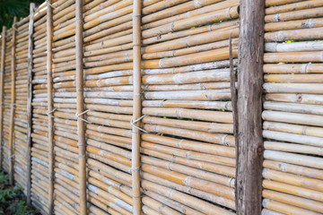 Old bamboo fence