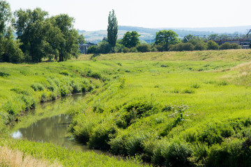 Fototapeta na wymiar Mała rzeka wśród zieleni