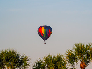 Fototapeta na wymiar Colorful Hot Air Balloons Floating Morning Sky Palm Trees