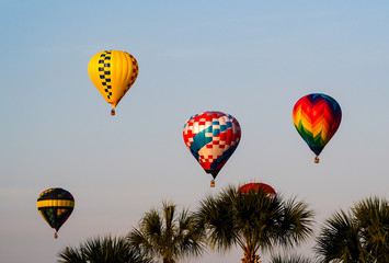Fototapeta na wymiar Colorful Hot Air Balloons Floating Morning Sky Palm Trees