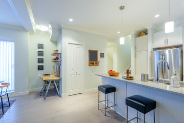 Modern, bright, clean, kitchen interior with stainless steel appliances in a luxury house