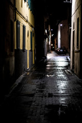 Night urban scene on a wet cobble stone street in Pisa, Italy