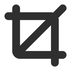 Obraz premium button icon isolated