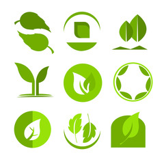 Set green leaves label or green leaf icon or green leaf logo collection