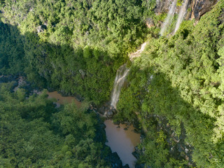 Fototapeta na wymiar Forêt tropical à La Réunion dans l'Océan Indien