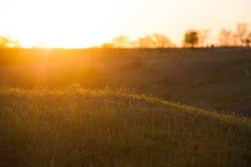 Obraz na płótnie Canvas Natural sunset sunrise over field or meadow