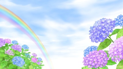 アジサイと雨上がりの空にかかる虹