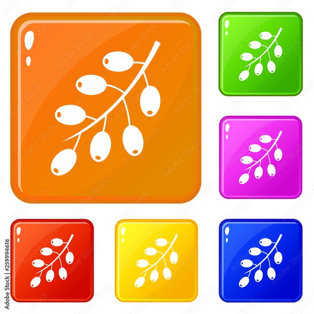 Poster barberry branch icons set collection vector 6 color isolated on white background