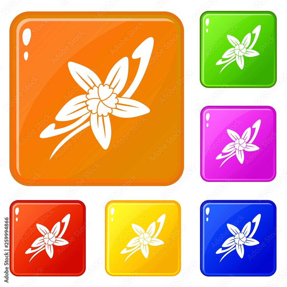 Poster vanilla sticks with a flower icons set collection vector 6 color isolated on white background