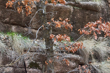 Autumn Southwest Mountain 