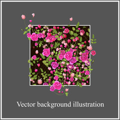 Beautiful floral vector Frame. Pink rose flowers with leaves. Template for card, invitation.