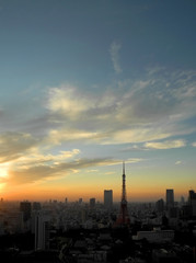 Naklejka premium 東京夕景