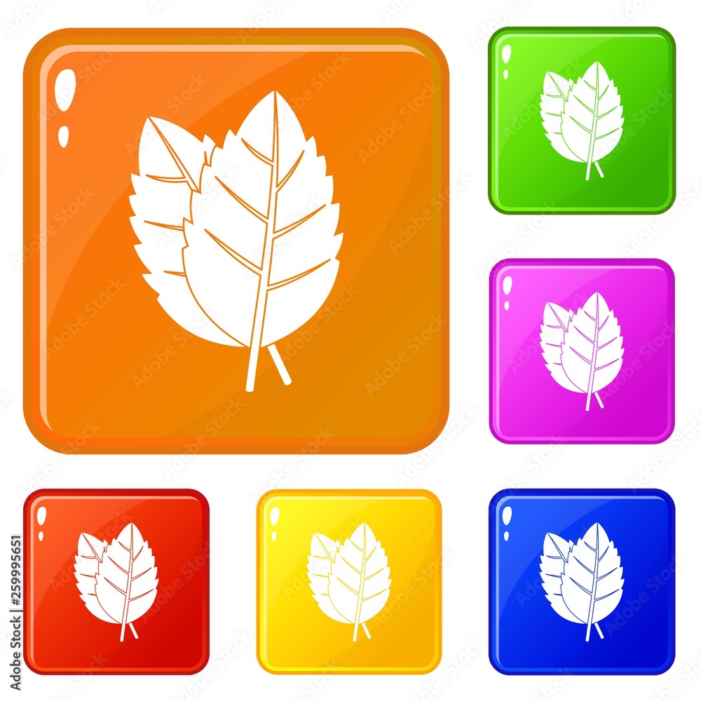 Poster two basil leaves icons set collection vector 6 color isolated on white background