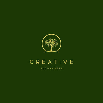 Tree Oak In Circle Creative Icon Logo Design Template Element Vector Illustration, Wooden Tree Nature Icon Logo