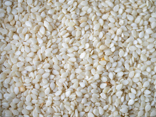 white sesame seeds macro, top view