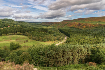 North York Moors landscape - looking from the Levisham Moor over Newtondale, North Yorkshire, England, UK