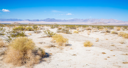 The Heart of Mojave in California, USA