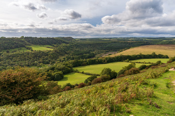 Fototapeta na wymiar North York Moors landscape, at the Levisham Moor, North Yorkshire, England, UK