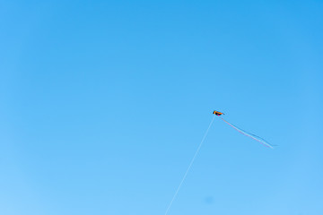 Kite flying with blue sky on background