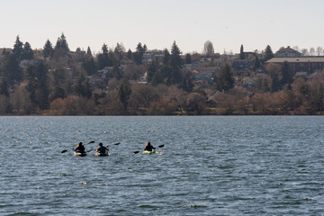 Rowing at Greenlake