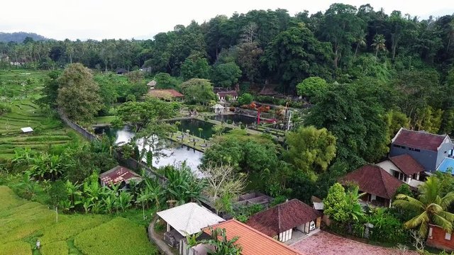 Aerial view of Tirta Ganga surrounded by rice fields and trees.