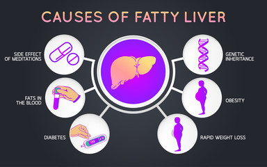 causes of fatty liver logo icon design, medical vector illustration