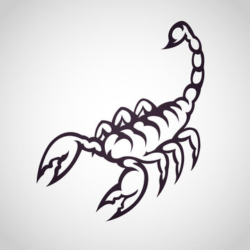 scorpion logo icon design, vector illustration