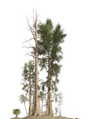 Trees of the mesozoic era isolated on white background 3D illustration