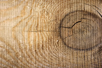 Naklejka premium Rustic wooden fence texture background of natural brown and yellow colors