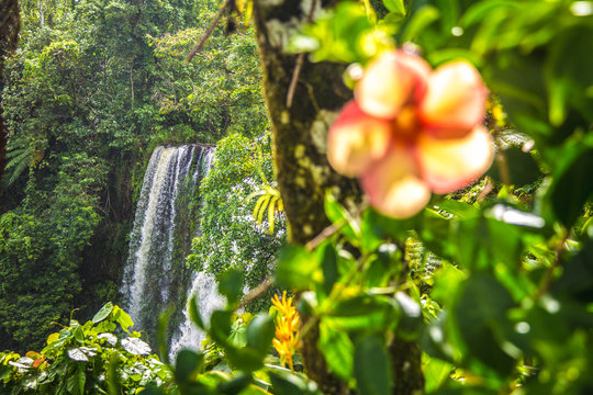 Famous Sopoaga Falls Waterfall in Samoa, Upolu, Pacific island