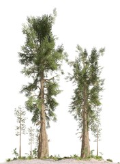 Trees of the mesozoic era isolated on white background 3D illustration