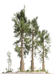 Trees of the mesozoic era isolated on white background 3D illustration