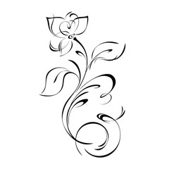 ornament with stylized flower, leaves and curls in black lines on a white background