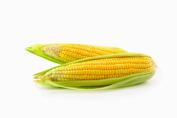 two corn on white background