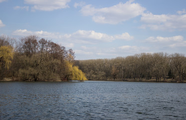 a large lake on the edge of the trees