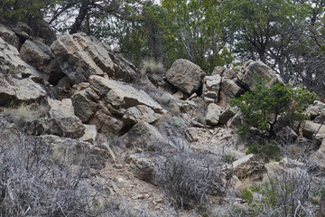 Southwest