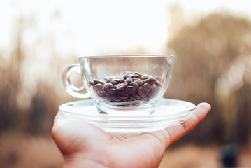 the coffee bean