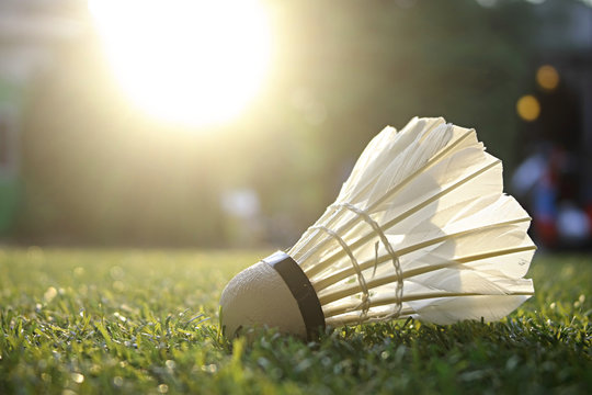 Badminton shuttlecock on grass