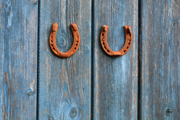 Two rusty luck symbol horseshoe on old wooden farm wall