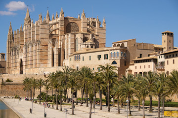 Palma de Mallorca, Spain - March 24, 2019 : end view of the famous gothic cathedral Santa Maria La Seu with palm tree garden in the foreground