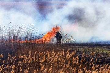 Raging forest spring fires. Burning dry grass, reed along lake. Grass is burning in meadow....
