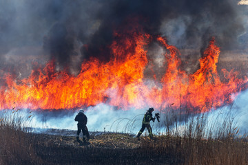 Plakat Raging forest spring fires. Burning dry grass, reed along lake. Grass is burning in meadow. Ecological catastrophy. Fire and smoke destroy all life. Firefighters extinguish Big fire. Lot of smoke