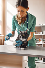 Be patient a little. Vertical photo of professional female veterinarian bandaging a paw of a big...
