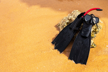 Flippers of black color, masks and tube of red color, which lie on the shore of the red sea, equipment for snorkeling and scuba diving.